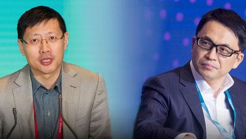 张磊税务局爆料视频最新,税务改革背后真相曝光